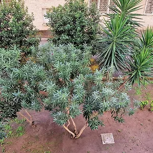 Casa Rosi Appartamento